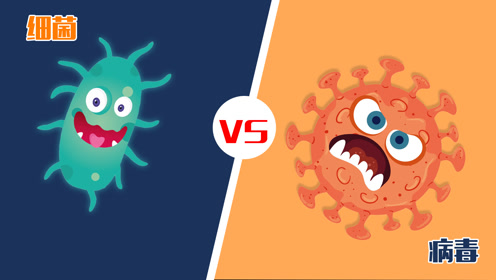 深度:细菌与病毒的区别在哪,谁对人类的威胁更大?