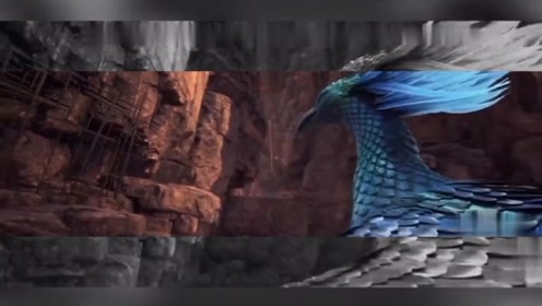 麟鹰成立仪式 腾讯视频