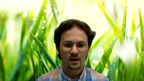 leading change testimonial - justin torrence, deputy head of