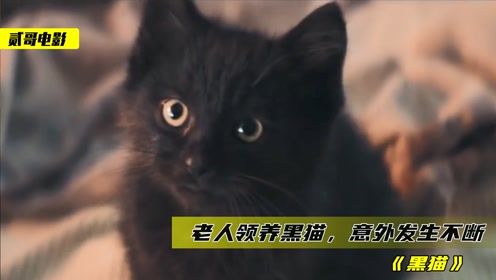 [图]老人领养一只黑猫，叫一声就会发生一次意外，还差点被树砸死