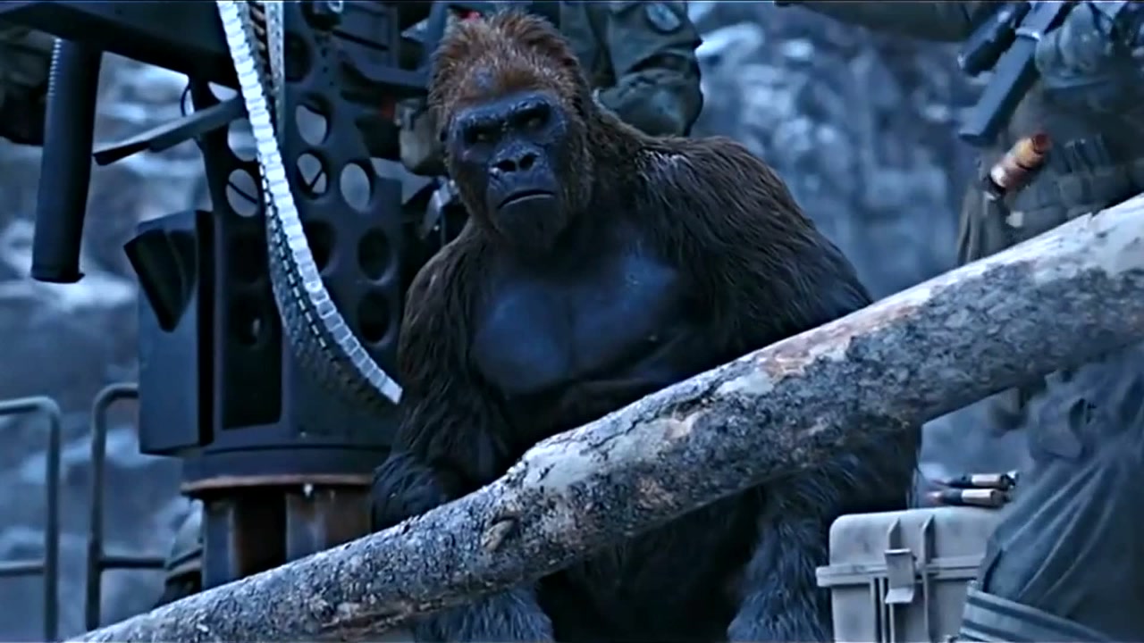 猿族崛起:开枪呀,要我教你吗?