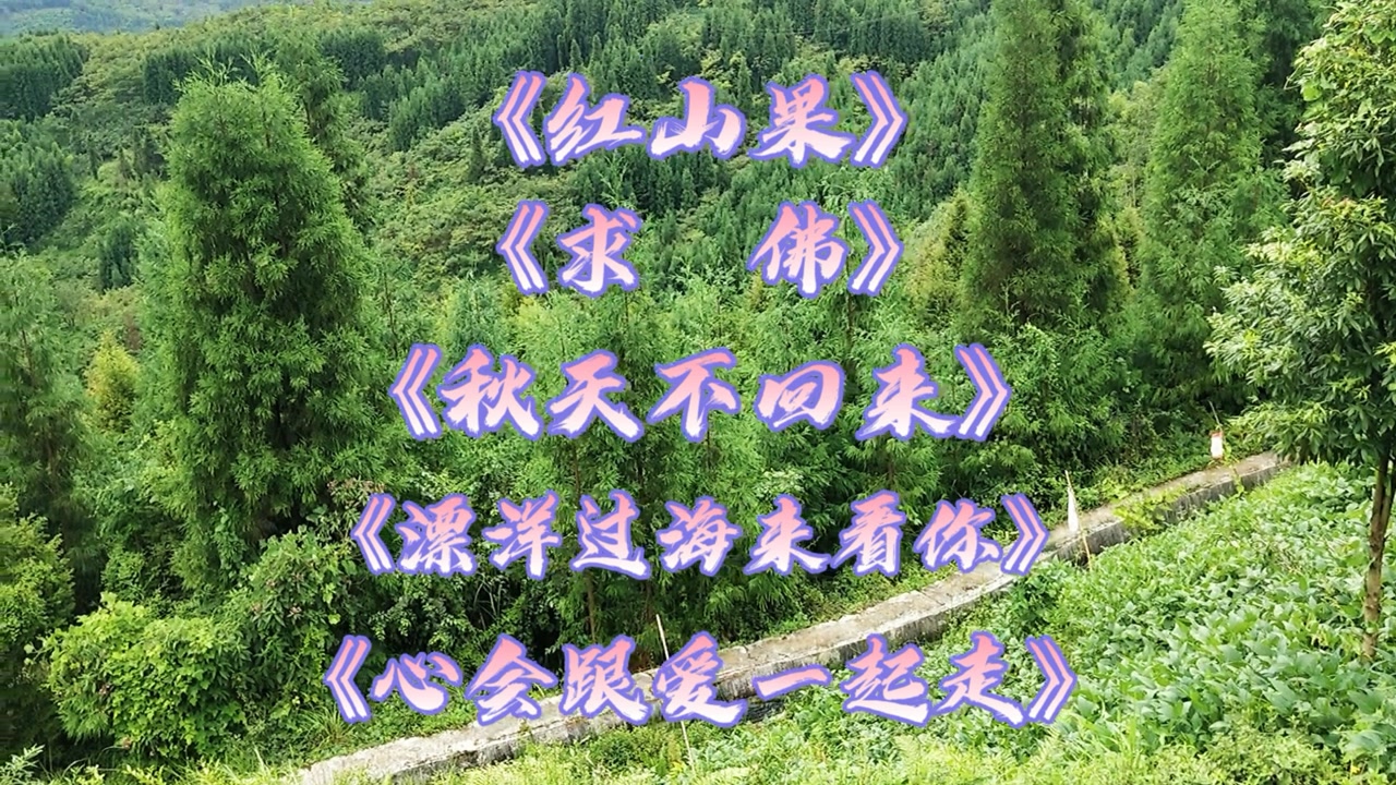 《红山果》《求佛》《飘洋过海来看你》《心会跟爱一起走》合集