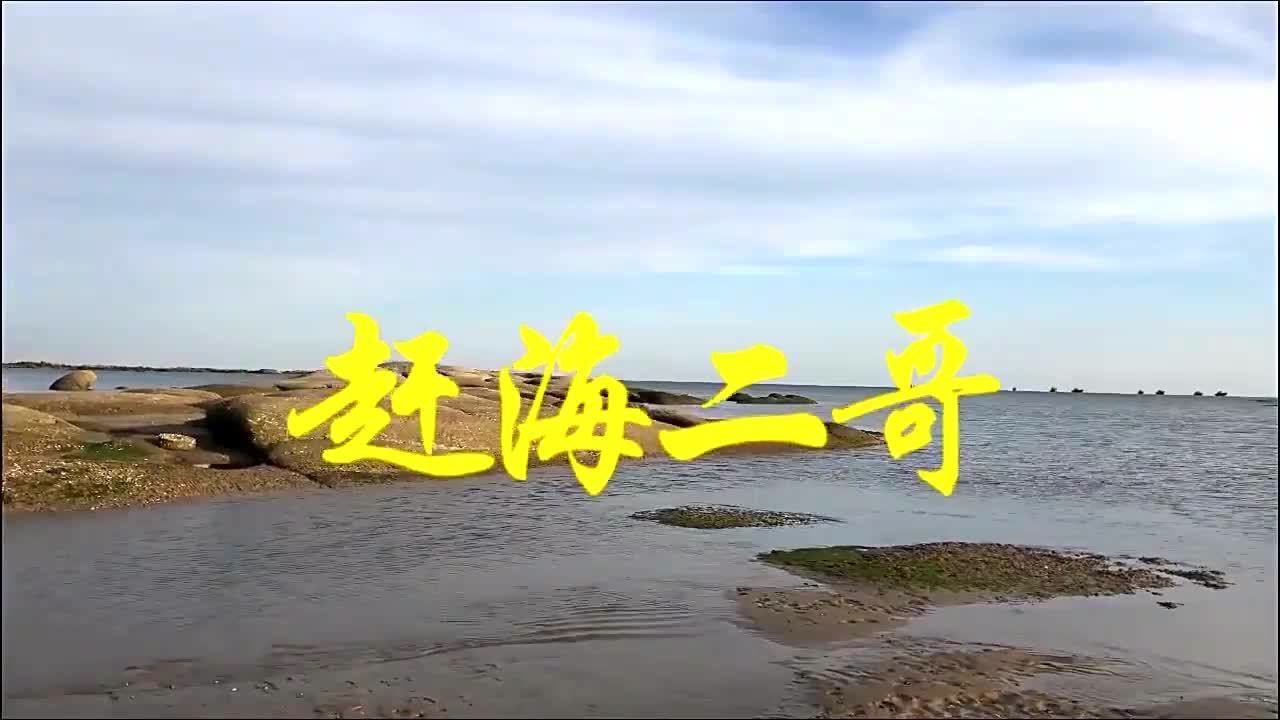 赶海二哥来到新沙滩挖手掌大的恐龙蛋还有白蛤,回家做海鲜豆腐