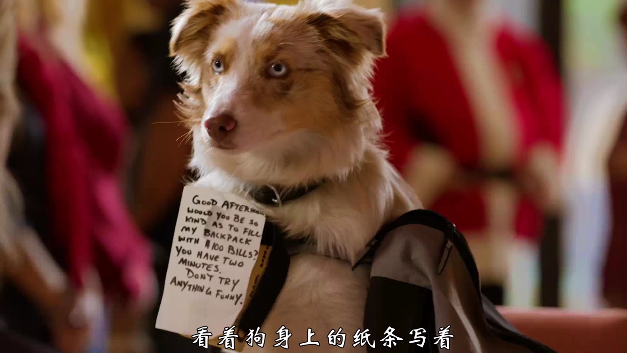 猎犬强盗(第1集)