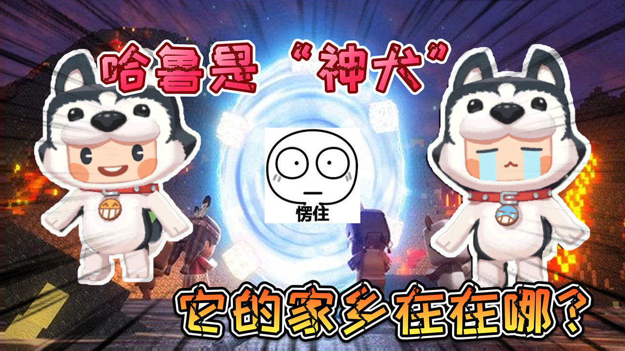 迷你世界:哈鲁不是一只普通的"哈士奇"它会喜怒哀乐,它从哪来