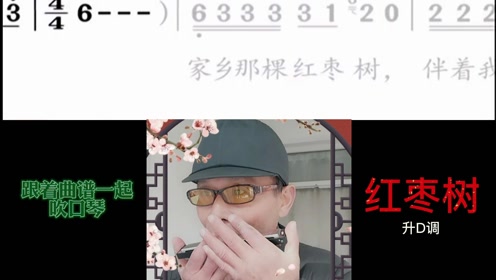 九孔葫芦丝吹南泥湾动态曲谱