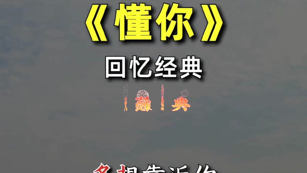 懂你 可循环播放的经典老歌