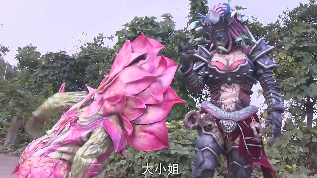 柯胜变成欧克瑟打跑了村霸,灵灵被小李子带回了集团