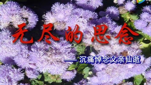 无尽的思念──沉痛悼念父亲仙逝