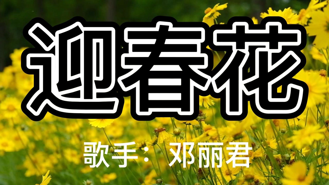 邓丽君《迎春花》