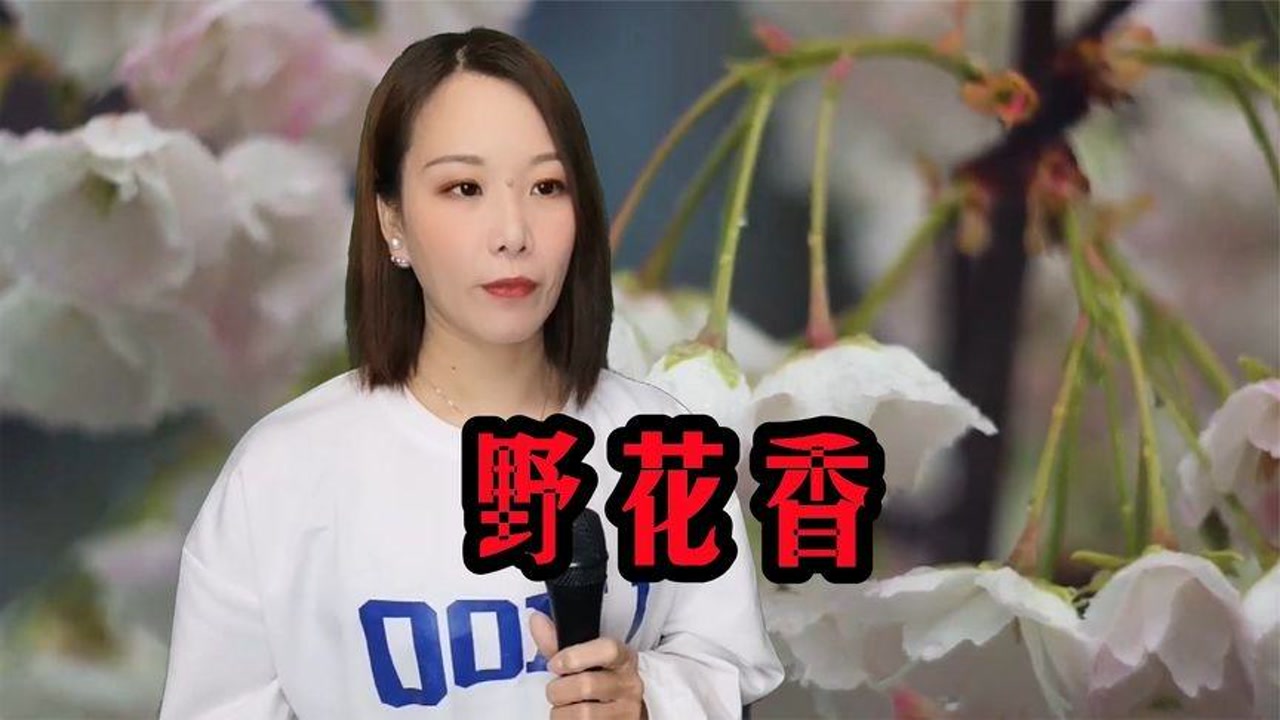 一首经典老歌《野花香》,dj版,歌声欢快,让人听完心情荡漾!