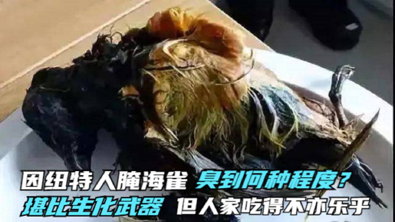 因纽特人腌海雀臭到何种程度?堪比生化武器,鲱鱼罐头都甘拜下风