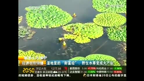 腾讯视频