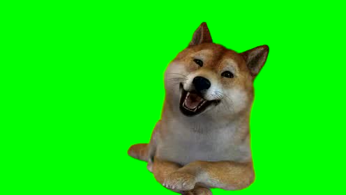 搞笑段子06 绿屏抠像素材 绿幕素材 绿幕抠像 绿屏素材 绿色背景