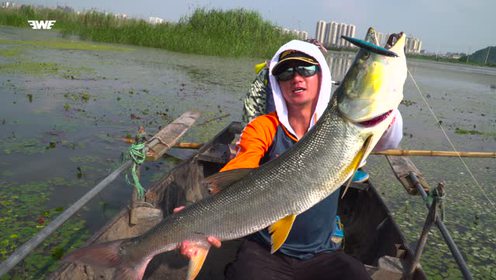 ewe路亚—夏利俊镇江战米翘下集