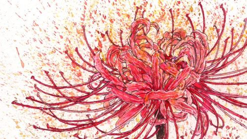 oy手绘·钢笔水彩·彼岸花