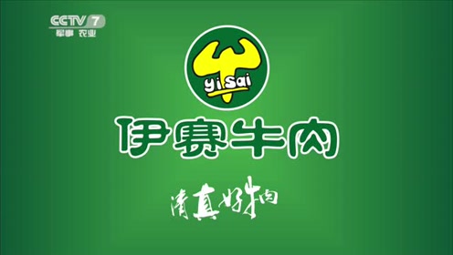 伊赛牛肉央视广告片