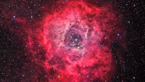 宇宙玫瑰 腾讯视频