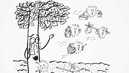 又是一年飞絮季:天干物燥 小心柳絮