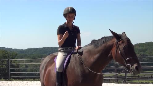 无鞍骑乘 腾讯视频