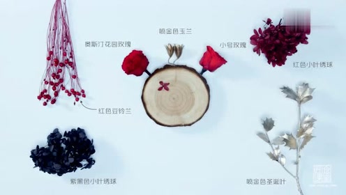 赤色公园 腾讯视频