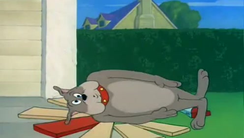 猫和老鼠_狗屋-041