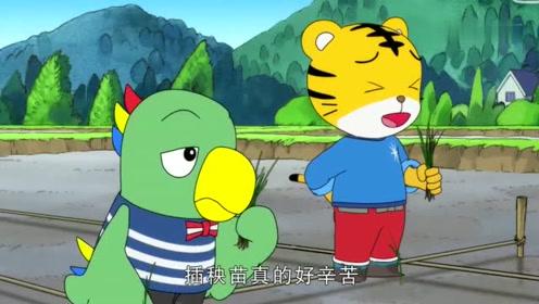 0:03:40《巧虎来啦》小老虎和他的朋友们一起抓小鱼时 间:2018-11-09