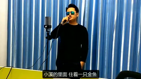 木鱼和金鱼刘德华 腾讯视频