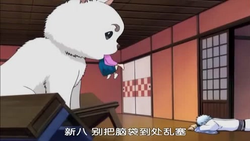 银魂81 腾讯视频