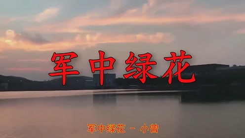 一首轻快悠扬的《军中绿花》歌声优美,句句贴心话