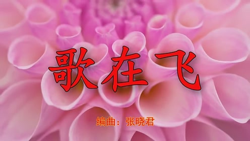 倾情推荐!《歌在飞》娓娓动听,愿您岁月长青