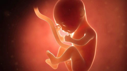 胎儿是男孩还是女孩,是在第几周确定下来的?可能比你们想的要早!