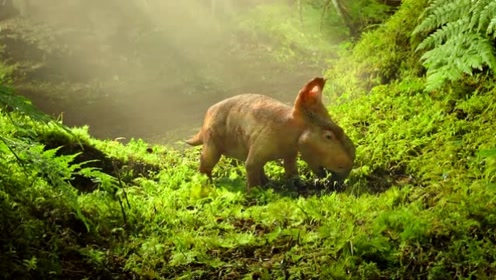 影:恐龙王0:01:48恐爪龙老婆孵蛋,恐爪龙老公觅食,发现一头大霸王龙不