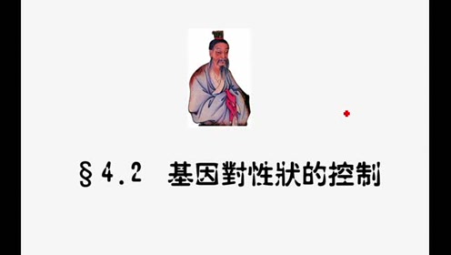 高中生物必修二《遗传与进化》4.2 基因对性状的控制