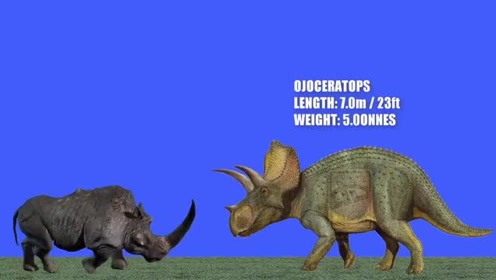 科普知识:犀牛与恐龙大小比较