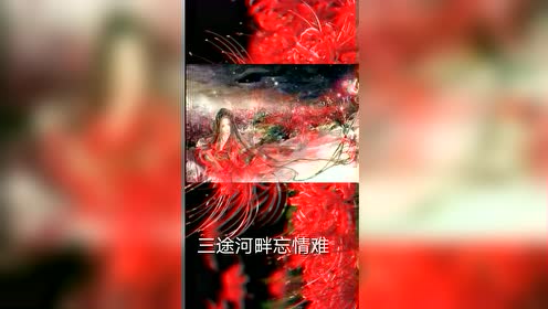腾讯视频