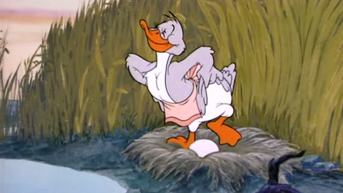 猫和老鼠:鸭妈妈孵蛋真是好累啊