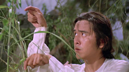 邵氏经典武侠片,小伙以螳螂为师,创出绝世武功螳螂拳,为妻报仇