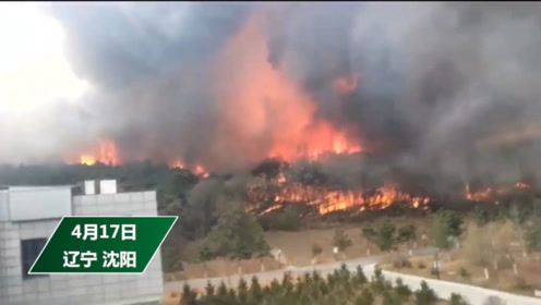 2019年4月17日沈阳棋盘山火灾