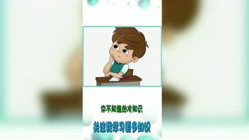 没想到鲨鱼原来是这样来吸引异性的