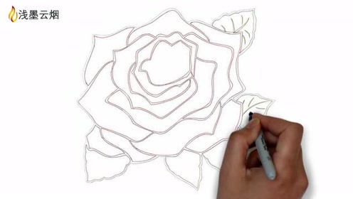 玫瑰花简笔画 腾讯视频