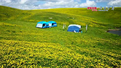 黄金草原 腾讯视频