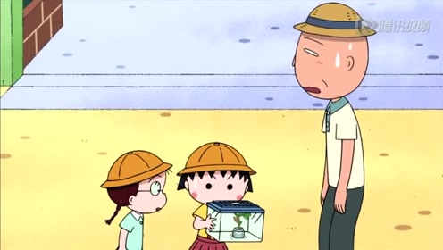 珀凤蝶结蛹羽化 腾讯视频