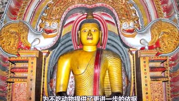 不吃素，就没资格做佛门弟子吗？