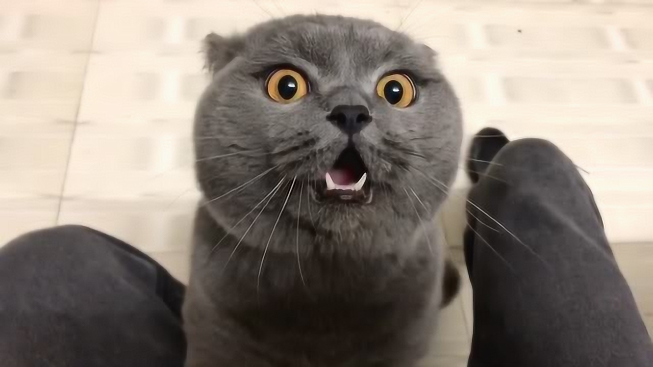 è˵Ļ,Ҫȥ,ֺ,ҵ!