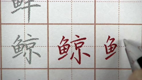 汉字笔画顺序 腾讯视频