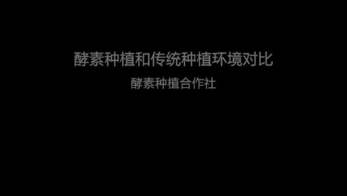 明治植物酵素 腾讯视频