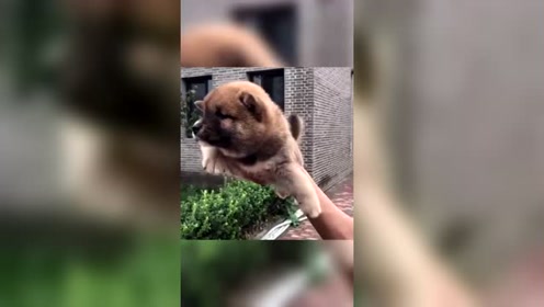 腾讯视频