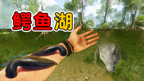 绿色地狱:发现神秘鳄鱼湖,水里藏着几十头鳄鱼