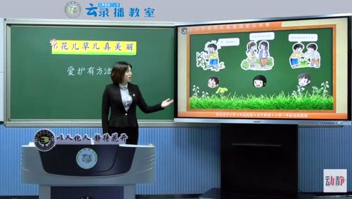 一年级道德与法治下册6.花儿草儿真美丽